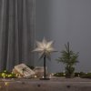 Miljöbild på snygga Ozen julstjärna på fot
