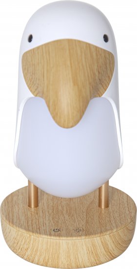 Nattlampa Toucan släkt