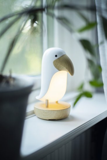 Nattlampa Toucan på fönsterbräda