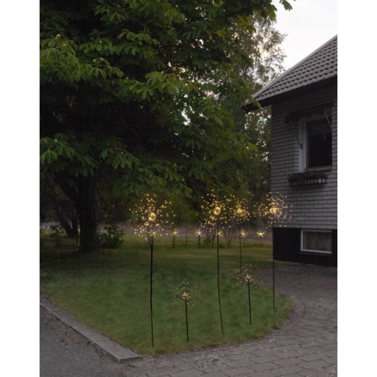 Miljöbild på flera Firework tillsammans som skapar en fin miljö