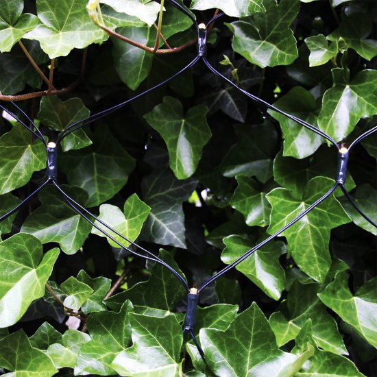 Ljusnät - Net 2x2m 6W LED - Miljöbild 1