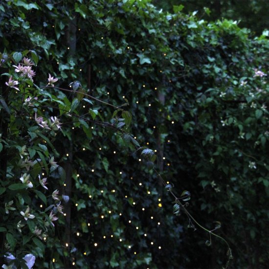 Ljusnät - Net 2x2m 6W LED - Miljöbild 4