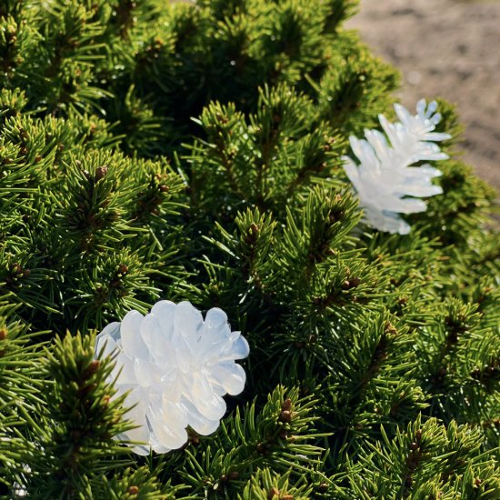 Pine 10m LED ljusslinga med kottar 6W - närbild