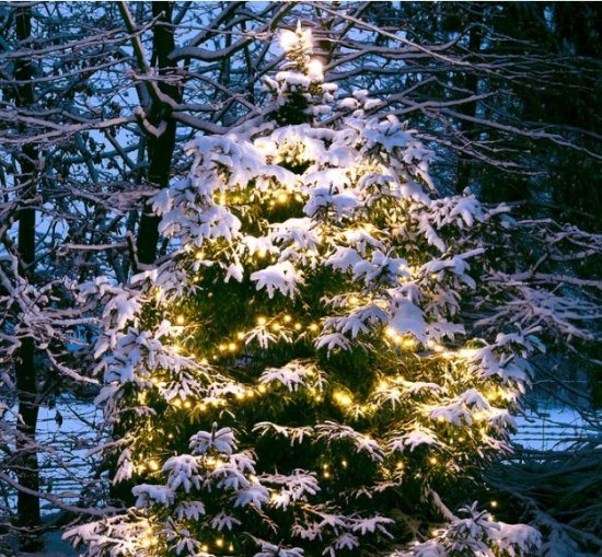 Twinky PRO 10m LED ljusslinga 4W - LightsOn